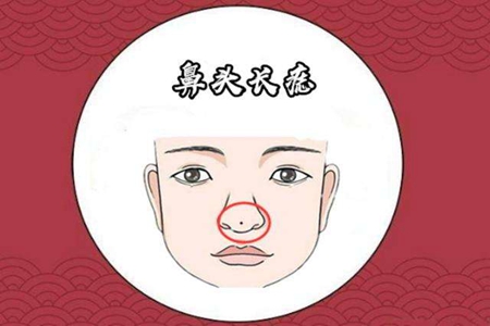 鼻子的运势 不同的鼻头代表着那些不同的运势 图片5