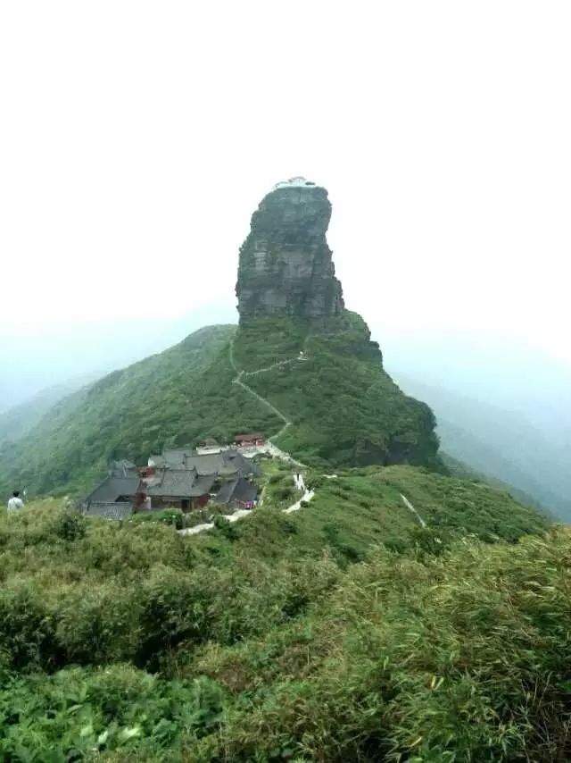 拥有大鼻子到底好不好 图片5