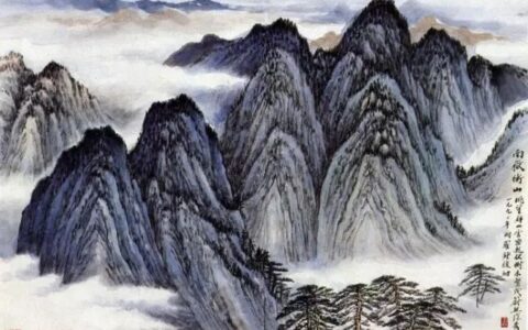 拥有大鼻子到底好不好