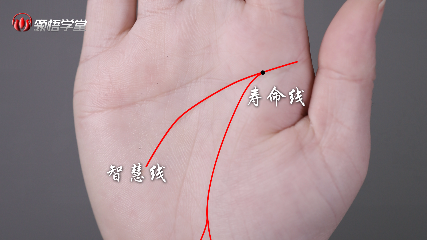 通过手相看婚姻，这种手相的人必定婚姻不幸，难逃离婚！ 图片3