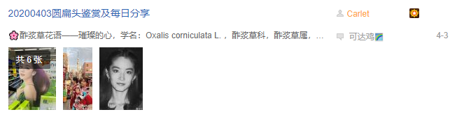 扁头的人命运分析、头扁的人都有什么运势 图片13