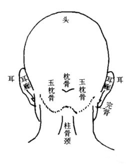 扁头的人命运分析、头扁的人都有什么运势 图片33