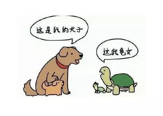 名和辈分的起源是什么？ 图片5