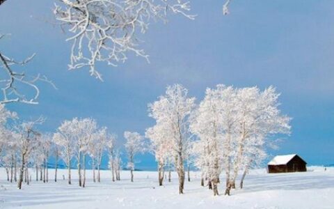 梦见打雪仗是什么意思 它是一种吉兆吗