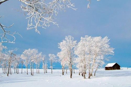 梦见打雪仗是什么意思 它是一种吉兆吗 图片5