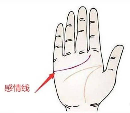手相面相上常见的纹路和痣的解答 图片7