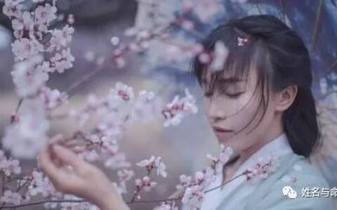 李子柒国外大火，如果她叫李佳琪，干不了文化输出