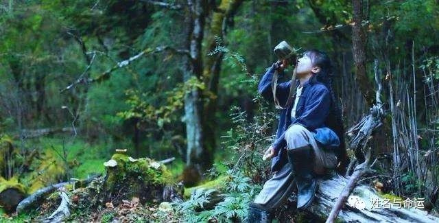 李子柒：后悔没有英文名，不然在国外更火 图片1