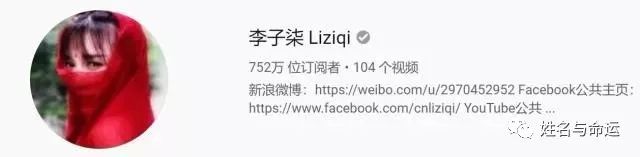 李子柒：后悔没有英文名，不然在国外更火 图片3
