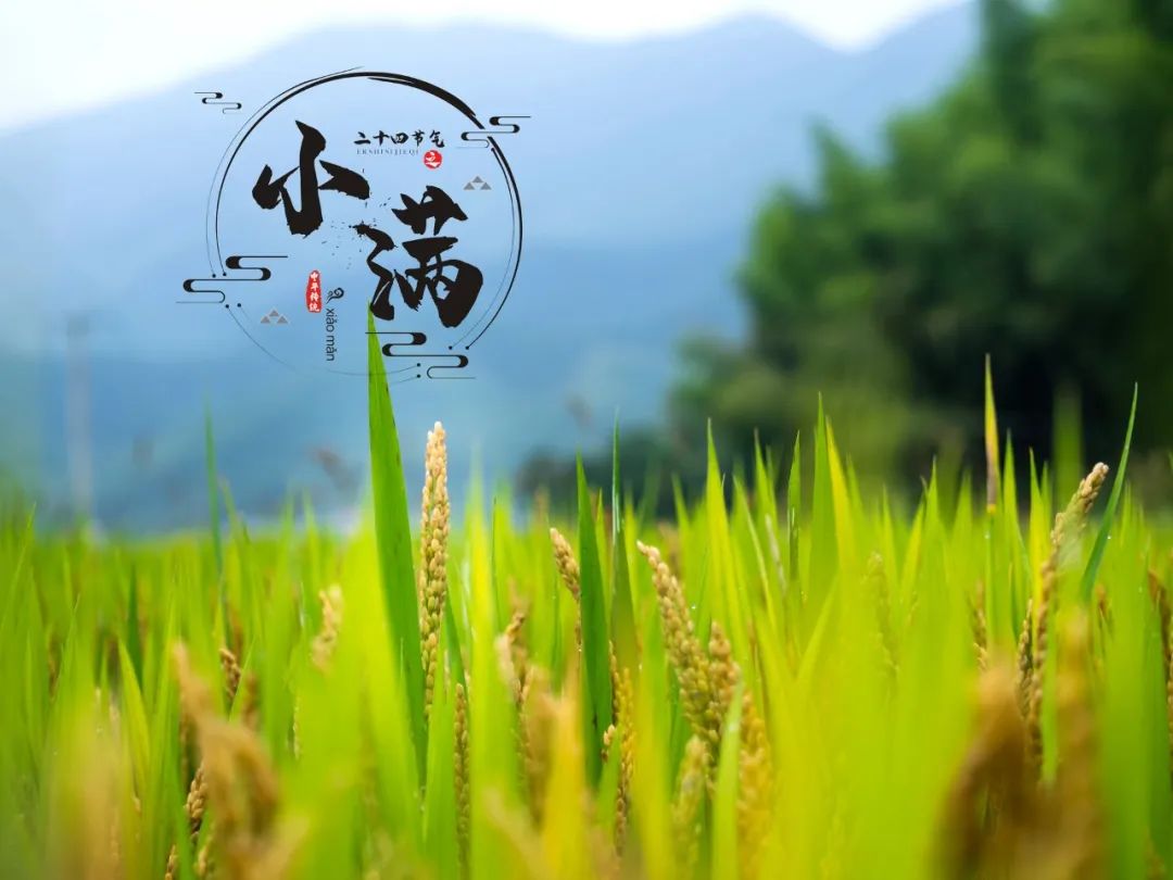 小满开运养生法 图片1