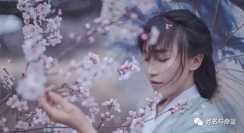 李佳琪如果叫李子柒，就成不了口红一哥 图片7