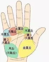 手相之手掌七丘图解 图片1