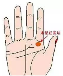 手相之手掌七丘图解 图片3