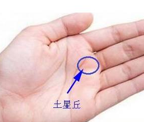手相之手掌七丘图解 图片5