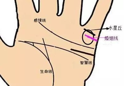 手相之手掌七丘图解 图片9