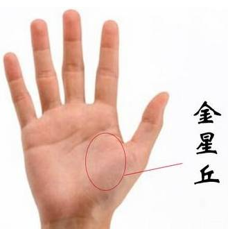 手相之手掌七丘图解 图片11