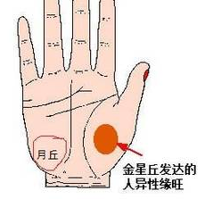 手相之手掌七丘图解 图片13