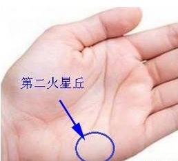 手相之手掌七丘图解 图片15