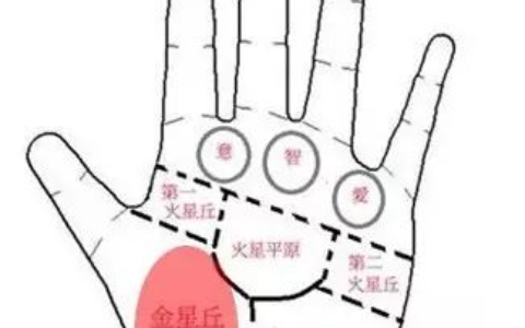 手相之手掌七丘图解