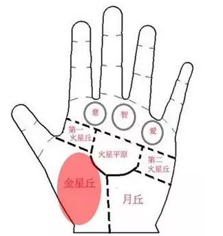 手相之手掌七丘图解 图片17