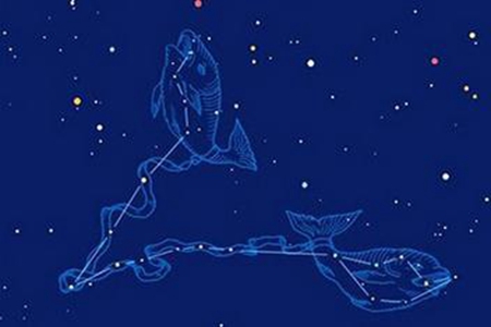双鱼座男生性格特点是什么 他们的爱情归宿如何 图片1