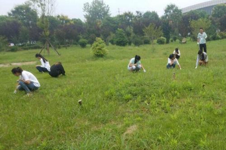 梦见老朋友是什么意思 它是一种吉兆吗 图片4 梦见老朋友是什么意思 它是一种吉兆吗 图片3