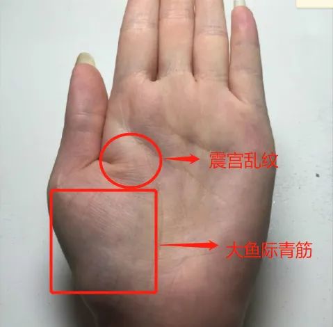 手相分析你适合带什么样的能量水晶 图片13