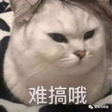 英文名竟影响“财运”？最易拿高薪名字出炉 图片1