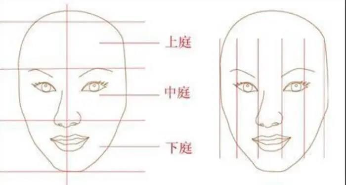 什么是面相的三停 图片3