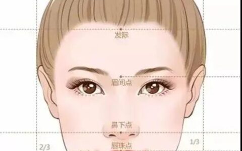 什么是面相的三停