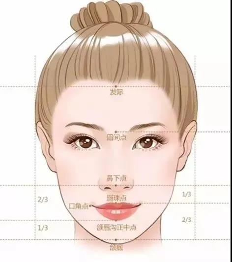 什么是面相的三停 图片5