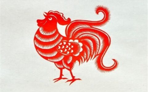 93年出生的属鸡人一生运势 她们会遇到好的婚姻吗