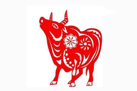 1997年属牛人一生命运 她们会遇到自己生命中的贵人吗 图片1