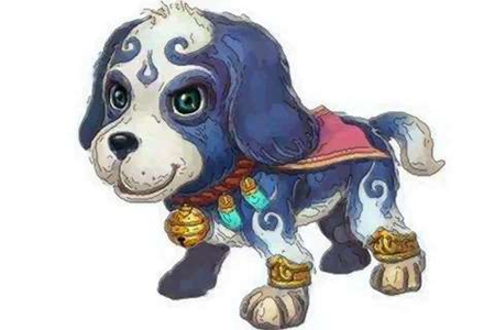 82年属狗人一生命运如何 他们会有很好的正财运吗 图片5