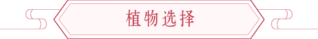 浴室和卫生间的风水宜忌 图片13