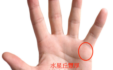 最招财的女人手面相特征