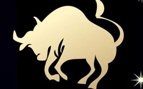 金牛座2021年2月运势 他们会拥有自己的幸福吗