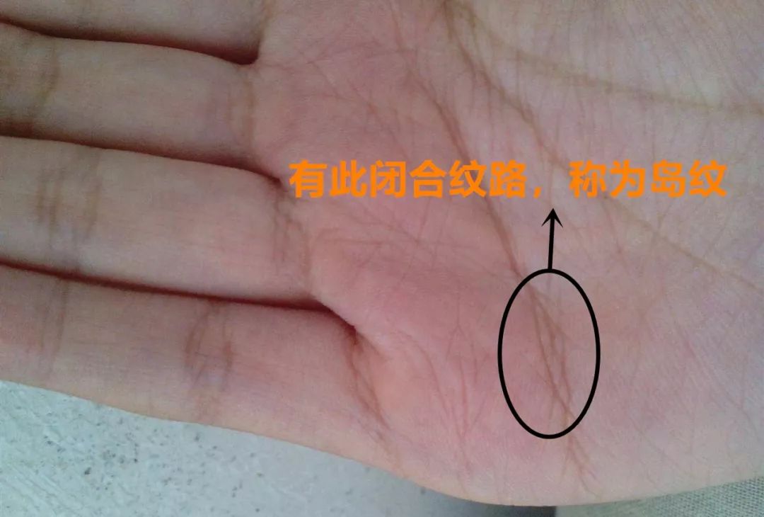 手相：手心的三条主线，到底代表什么？ 图片13