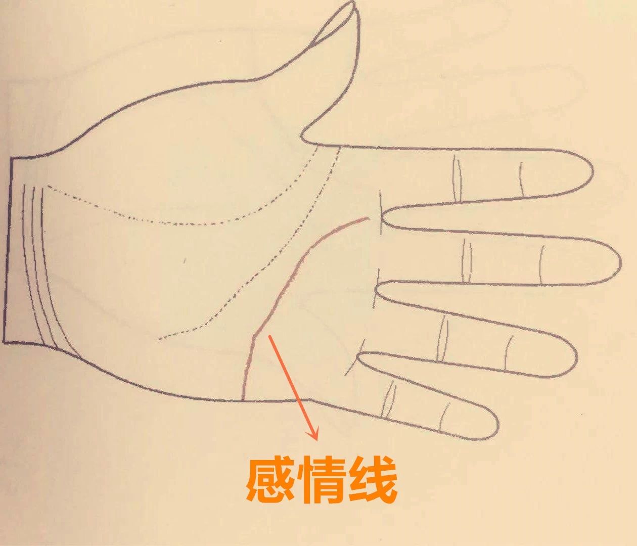 手相：手心的三条主线，到底代表什么？ 图片15