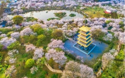河东河西三十年，风水视角下的东西方盛衰浮沉
