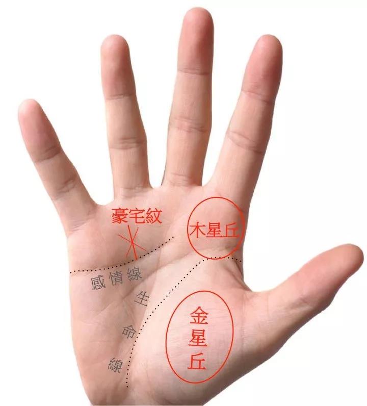 长相甜美却是女强人的手相面相特征 图片1