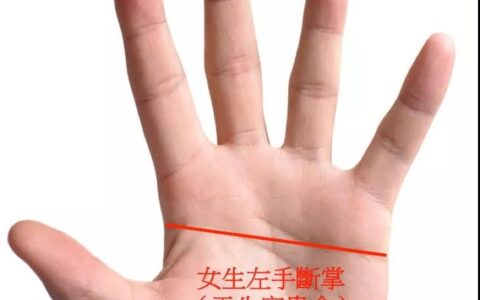 长相甜美却是女强人的手相面相特征