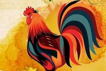 属鸡人2021年上半年运势如何 她们会有偏财运吗 图片1