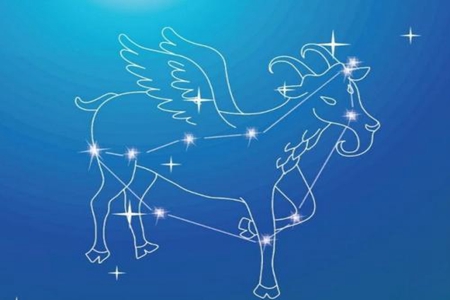 属马摩羯座2021年运势 他们可以遇到偏财运吗 图片3