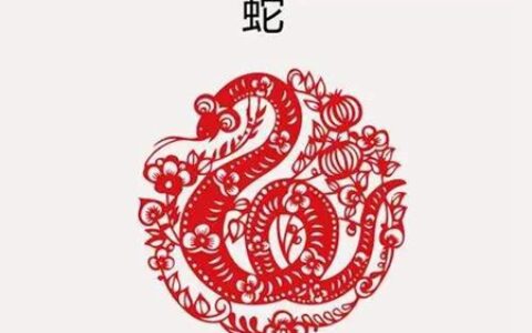 属蛇人2021年财运如何 他们会赚到钱吗