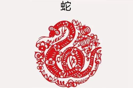 属蛇人2021年财运如何 他们会赚到钱吗 图片5