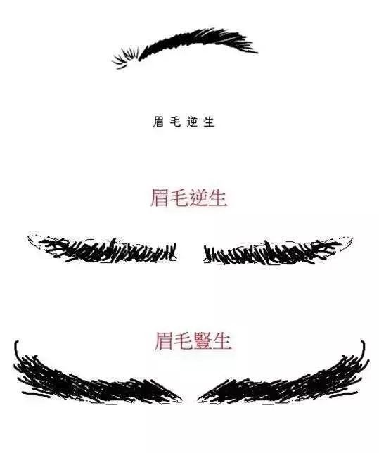 图解各种眉形与眉毛特征代表的吉凶运势 图片4 图解各种眉形与眉毛特征代表的吉凶运势 图片3