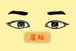 图解各种眉形与眉毛特征代表的吉凶运势 图片14 图解各种眉形与眉毛特征代表的吉凶运势 图片13