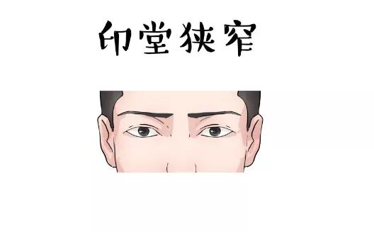 图解各种眉形与眉毛特征代表的吉凶运势 图片32 图解各种眉形与眉毛特征代表的吉凶运势 图片31
