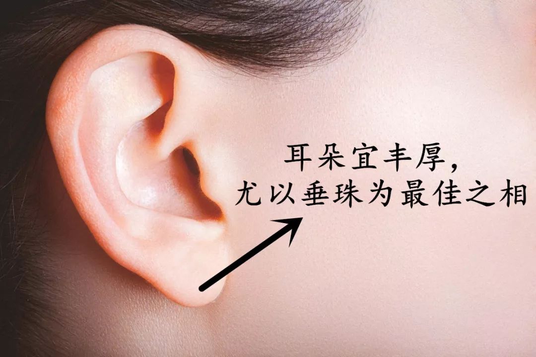 女子有这种旺夫相特征，男人娶到就是赚到 图片7
